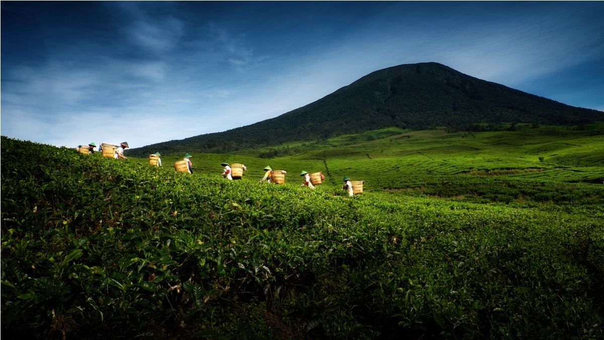 Hiking Gunung Dempo